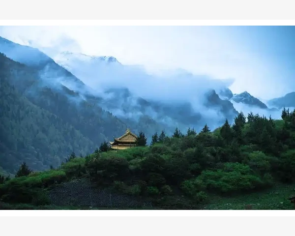 艾草叶：中医养生秘籍，有效化痰通气