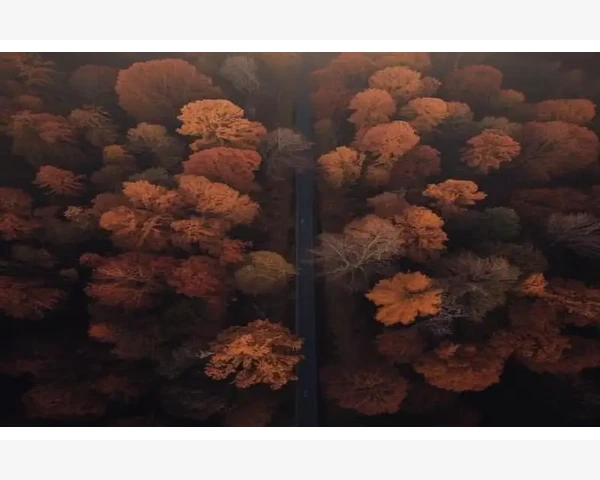 月经补血的水果有哪些？